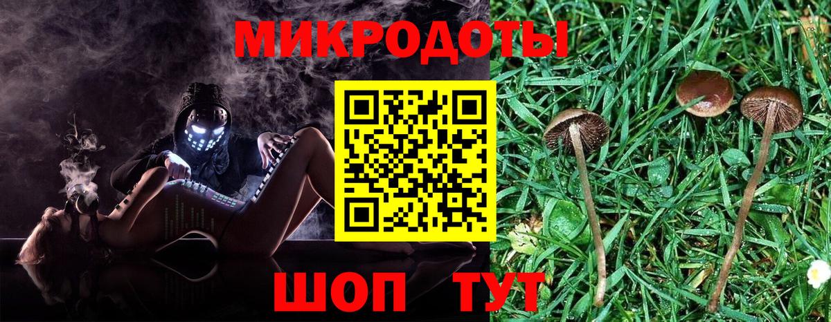 Вязьма  Псилоцибиновые грибы Cubensis  Вход с VPN 