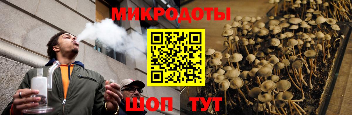 Псилоцибиновые грибы GOLDEN TEACHER Вязьма
